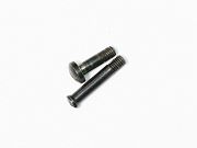 Show product details for Enfield No1 Nose Piece SCREW SET Small Head Early Countersunk