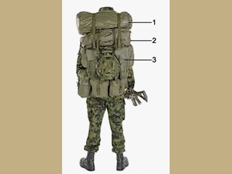Swiss Military M90 Field Pack 